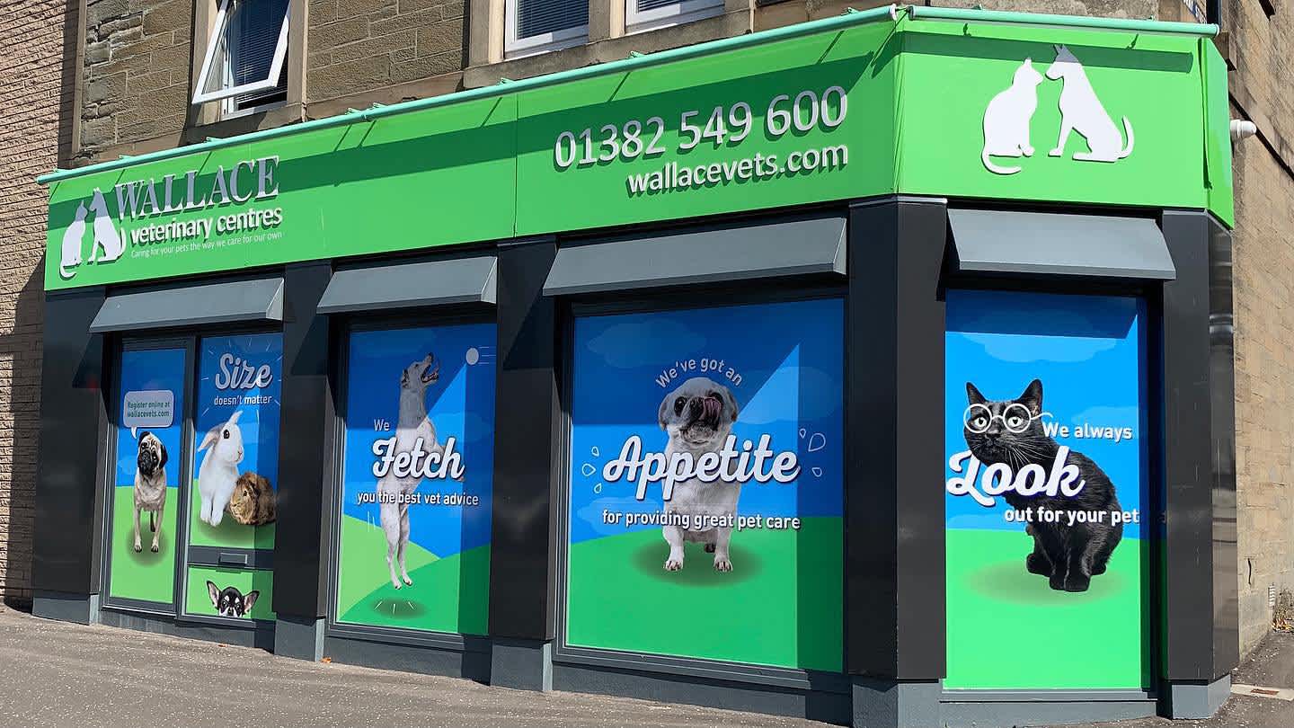 Wallace Vets Case Study